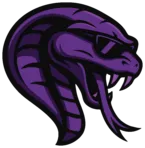 Team Cobra победила MOUZ на FISSURE PLAYGROUND 2 — Dota 2