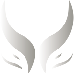 Aureus заменит Talon Esports на DreamLeague Season 27